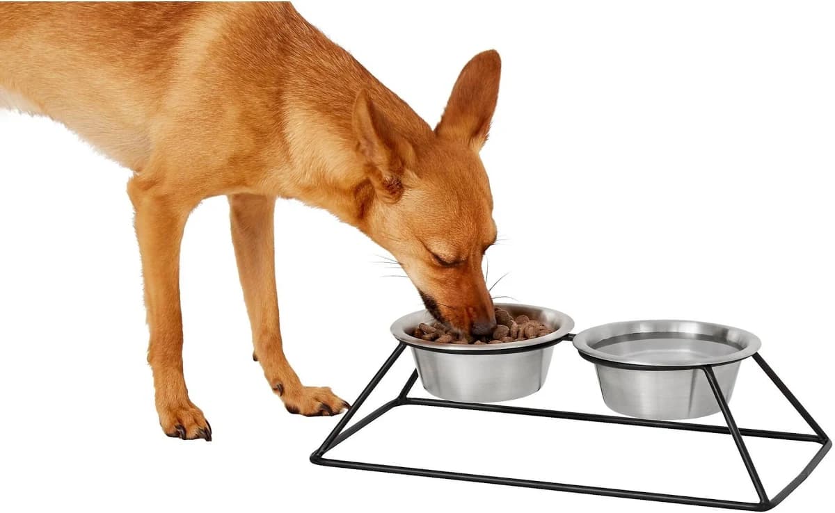 Frisco Pyramid Elevated Dog & Cat Diner