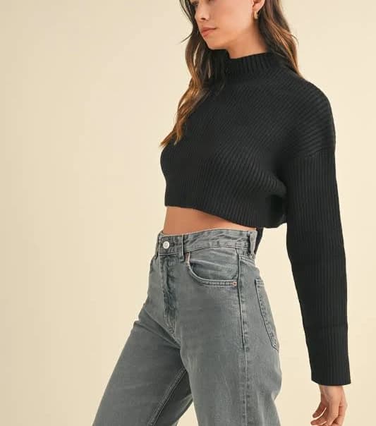 Evercado Basic Ribbed Crop Sweater