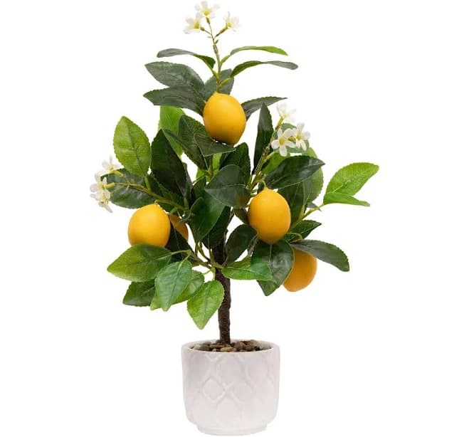 allen + roth Artificial Lemon Plant