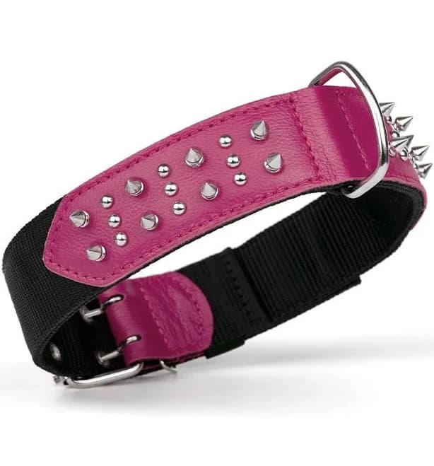 Dogline Leather + Nylon Spike Collar