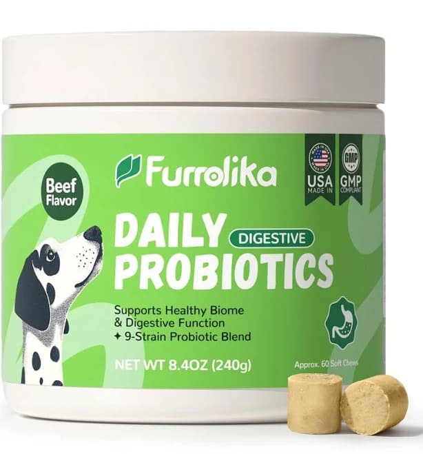 Probiotics For Dogs 60 Soft Chews Beef Flavor Digestive Gut Health