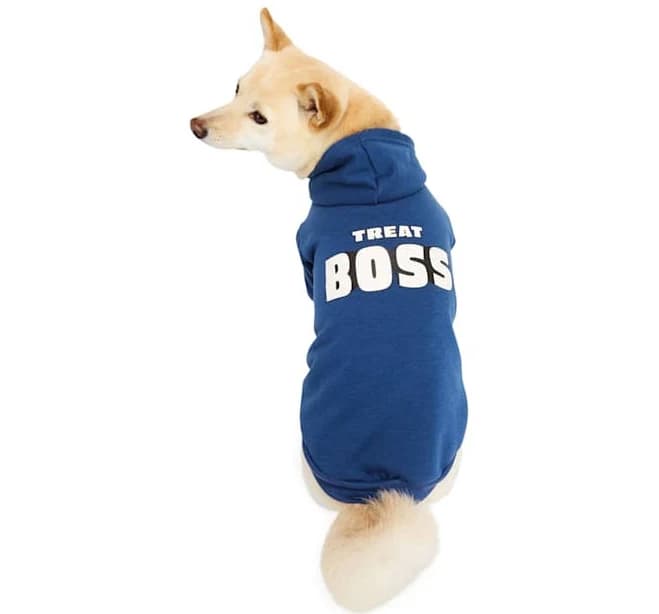 Youly Treat Boss Dog Hoodie