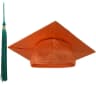 Video frame trigger