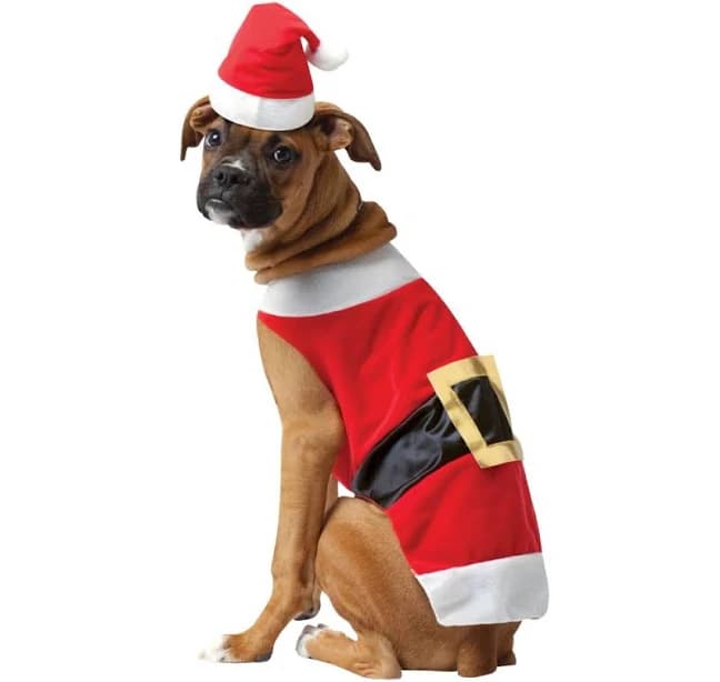 Santa Dog Costume