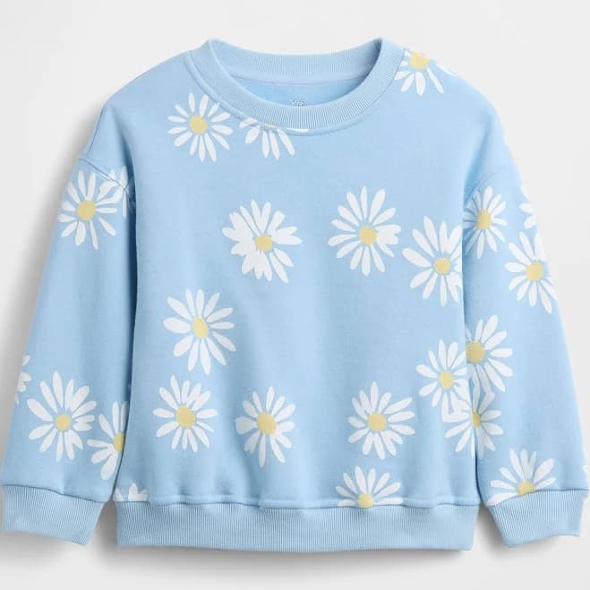 Toddler & Vintagesoft Graphic Sweatshirt by Gap