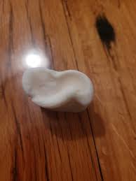 Whitetail Deer Leg Joint Bones - Etsy