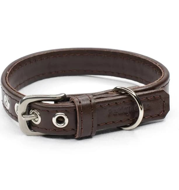 Petiquette Dark Brown Leather Dog Collar - Italian Calf Leather - Stainless Steel - Handmade UK - 19” - 22” | 1.25" wide