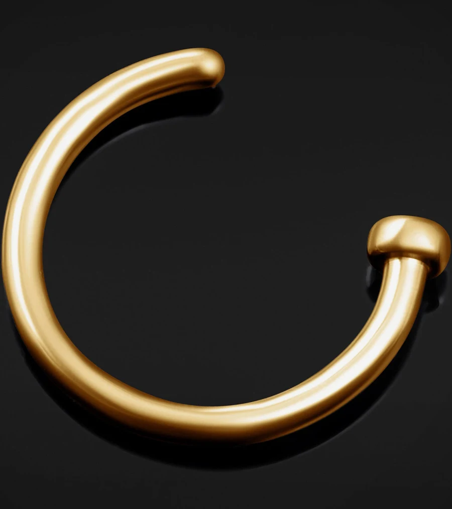 20g Titanium Nose Hoop