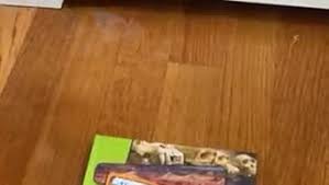 Amazon.com: The Answers Book for Kids Box Set (Includes 8 Volumes): 9781683441335: Ken Ham, Bodie Hodge, Cindy Malott: Libros