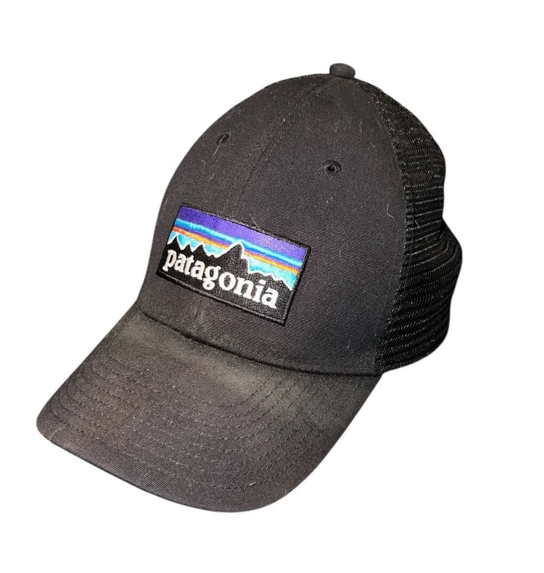 Patagonia P-6 Logo LoPro Trucker Hat