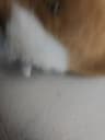 Video frame trigger