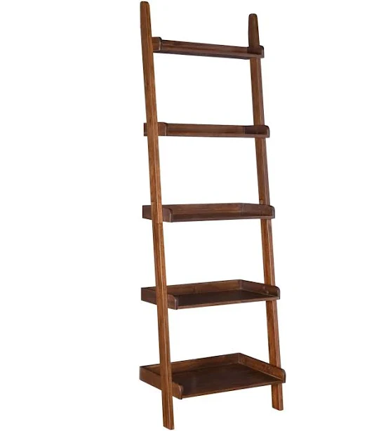 Ezekiel & Stearns Leaning Ladder Book Shelf