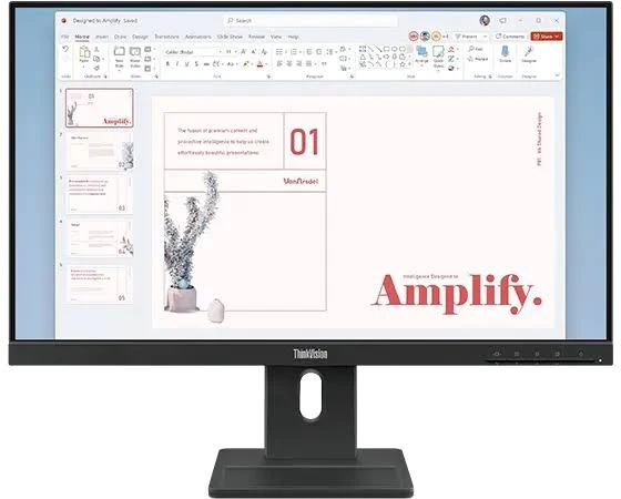Lenovo ThinkVision E24-40 Full HD Monitor