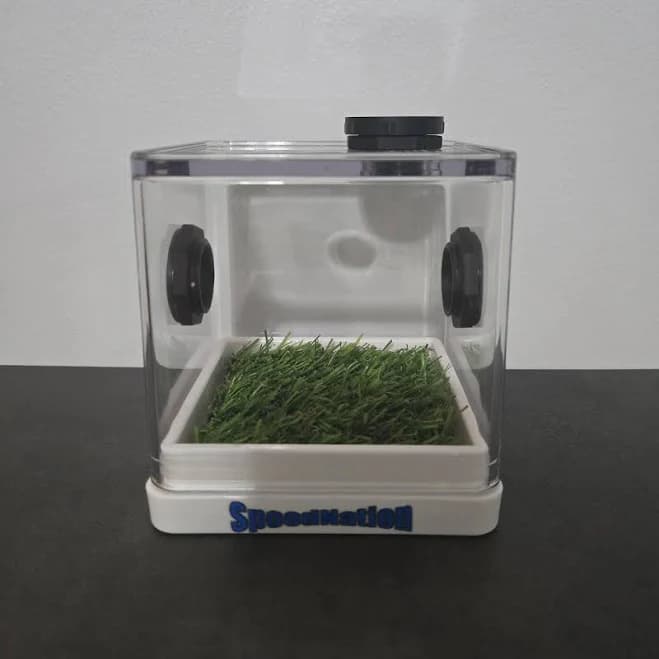 Acrylic Jumping Spider Enclosure, Feeding Port, Vents, Installed Floor (4x4x4)