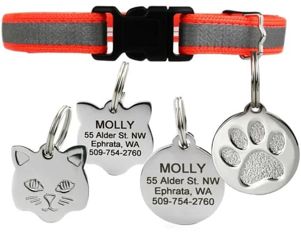 Cat Collars with Name Tags