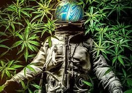 Field of Weed' Poster, picture, metal print, paint by AlexGraphex | Displate