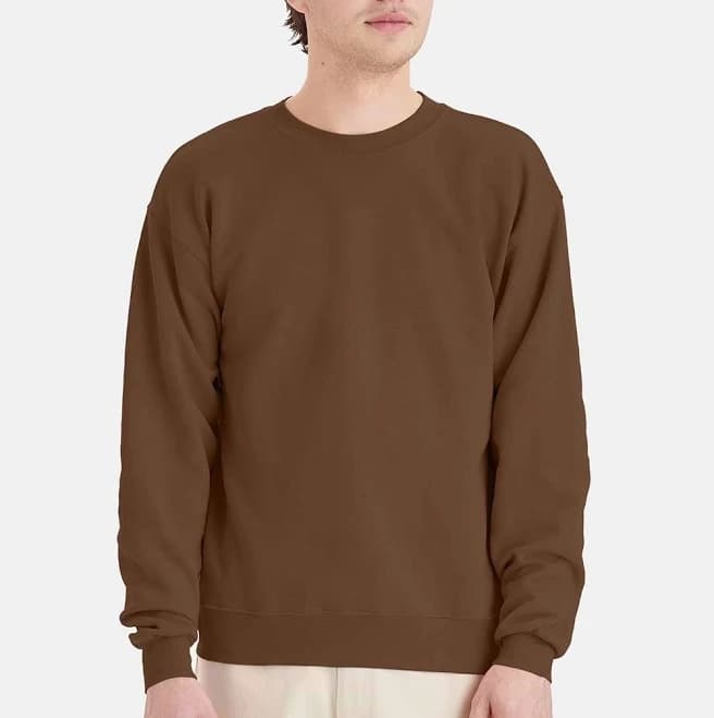 Ecosmart Crewneck Sweatshirt Hanes