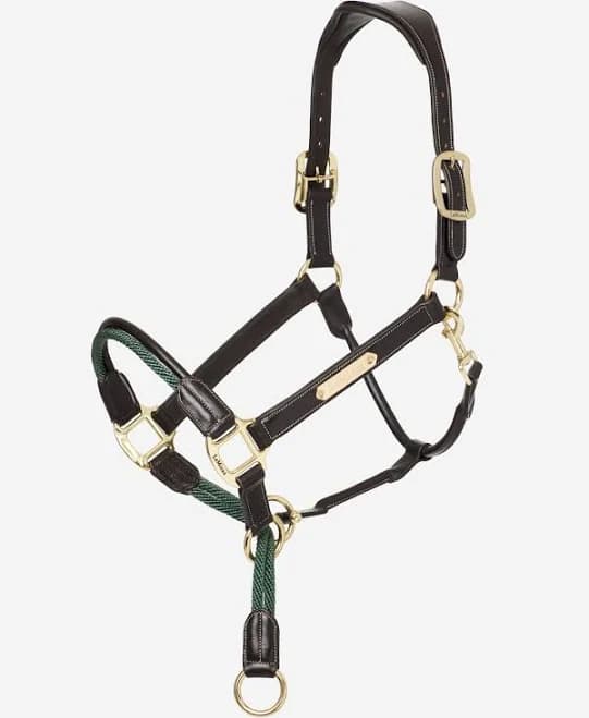 LeMieux Rope Control Halter