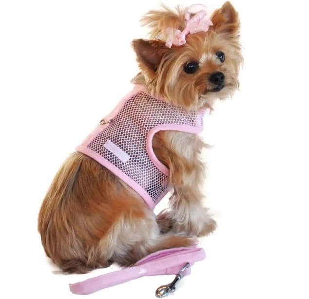 Cool Mesh Pink Dog Harness With Leash S / Pink