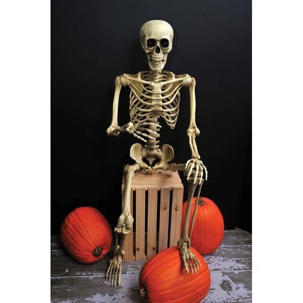 Morris Costumes 5 ft. Realistic Posable Articulated Skeleton Halloween Decoration