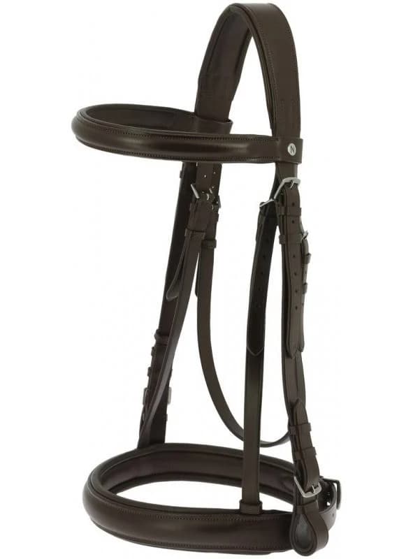 Norton Equestrian Bridle and Flat Straps Reins