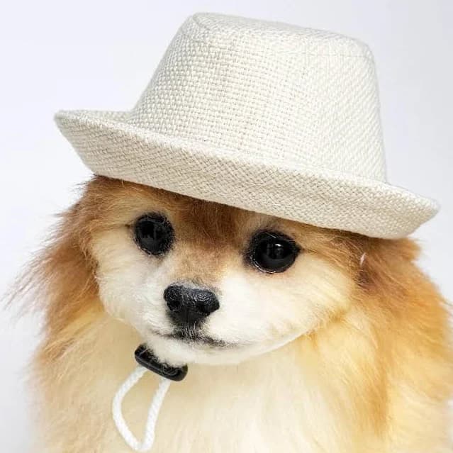 Fedora for DOGS, CATS! HANDMADE dog hats, dog caps, summer hat, cowboy hat, sun visor hat, sun hat, pet accessories, dog hoodies, dog outfit