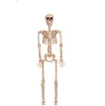 Seasons (HK) Ltd. 36-Inch Posable Skeleton Halloween Prop