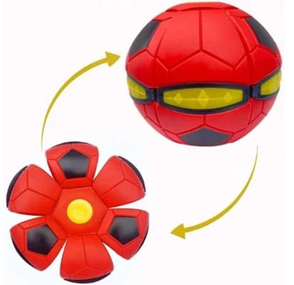 The Doggy Disc Ball