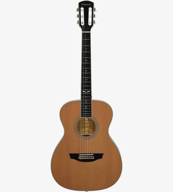 Ava Nylon-String