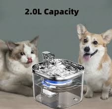 New pet water dispenser automatic recirculating running water cat water dispenser filter water bowl live UK Plugs C006 - AliExpress