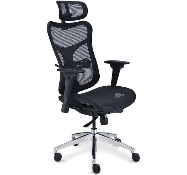 NBF Rand Ergonomic Mesh Executive Chair with Headrest