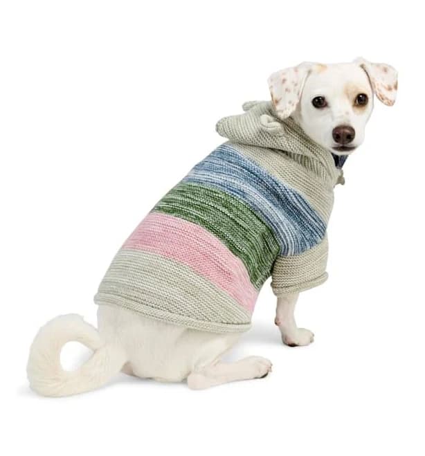Youly Bear Ears Striped Pet Hoodie