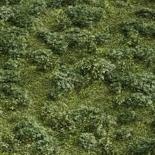Grass Meadow Lawn Grassland Set 004 3D model - GreatCatalog 60584