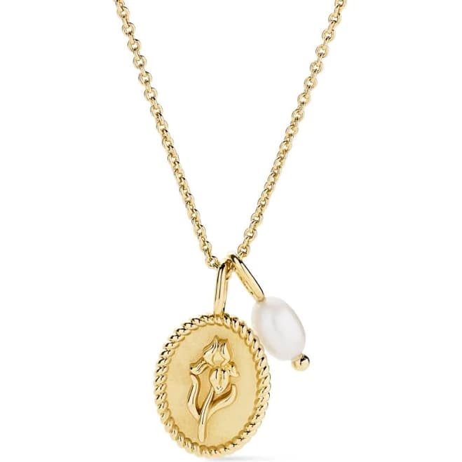 Ana Luisa Katie 14K Gold Pendant Necklace with Freshwater Pearls