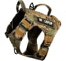 Video frame trigger