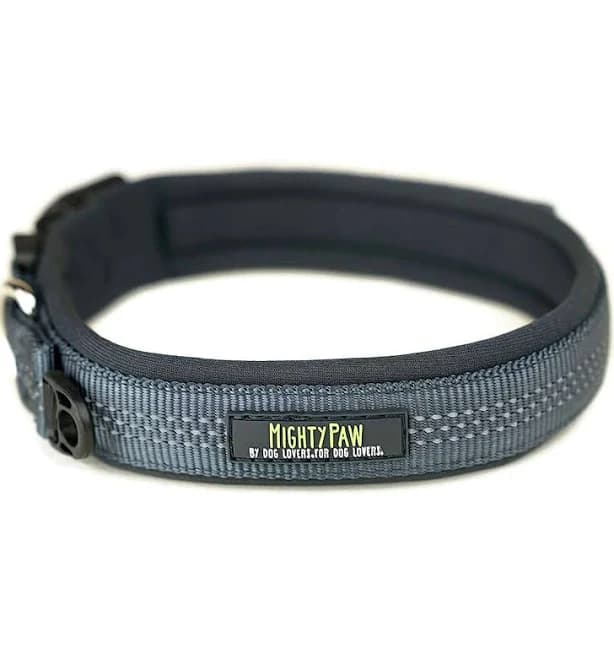 Mighty Paw Sport Collar