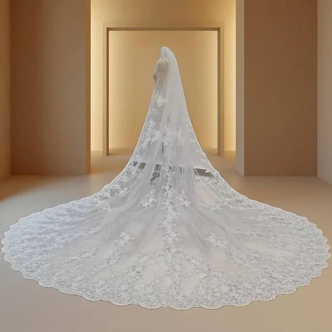 Cathedral Length Lace Tulle Bridal Veil