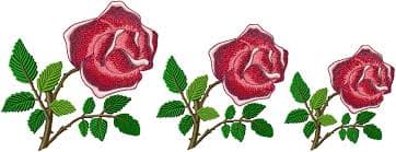Branch Of Roses 3 for 5"x7"