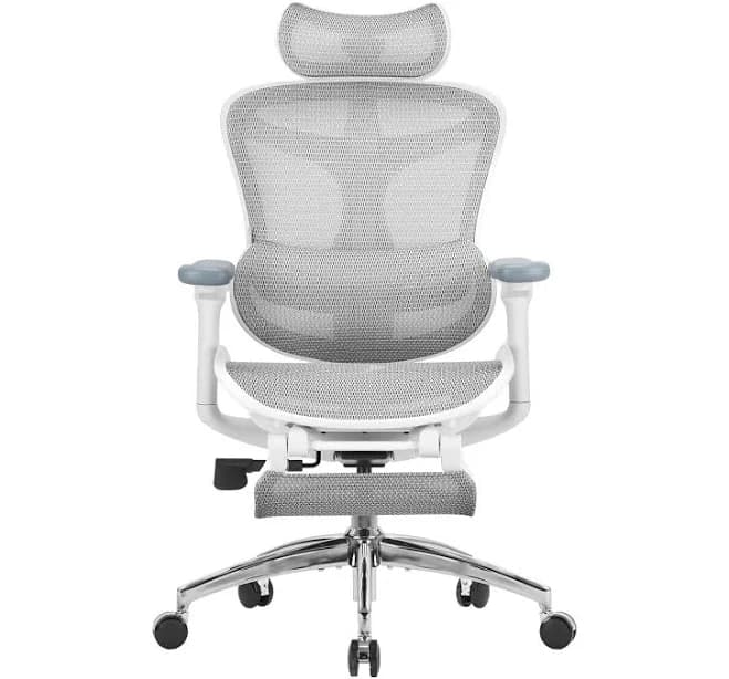 Sihoo Doro C300 Ergonomic Office Chair