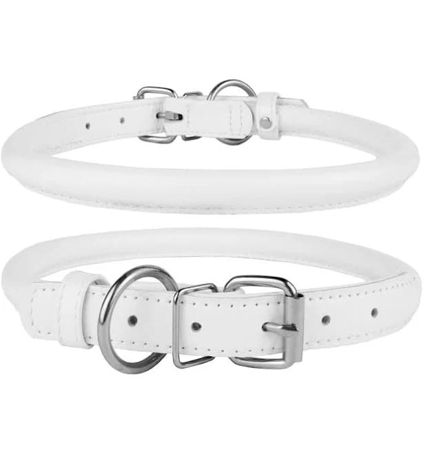 CollarDirect Rolled Leather Dog Collar