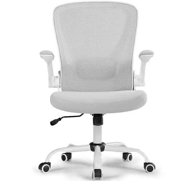 Eureka Onyx Series Ergonomic Office Chair