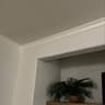 Video frame trigger