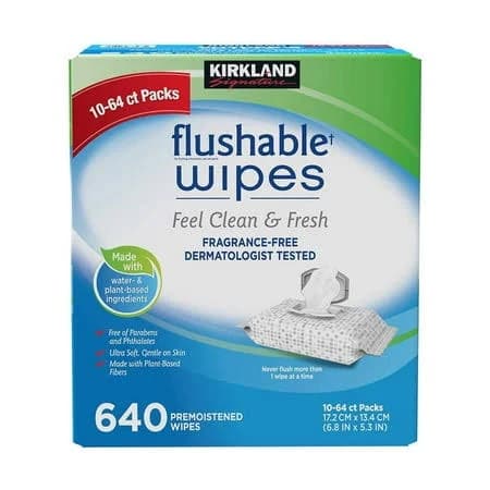 Kirkland Signature Flushable Wipes
