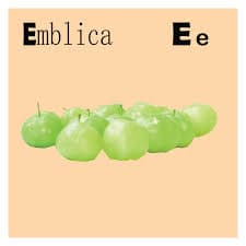 26 Fruits Alphabetical Letters | Made By Teachers
