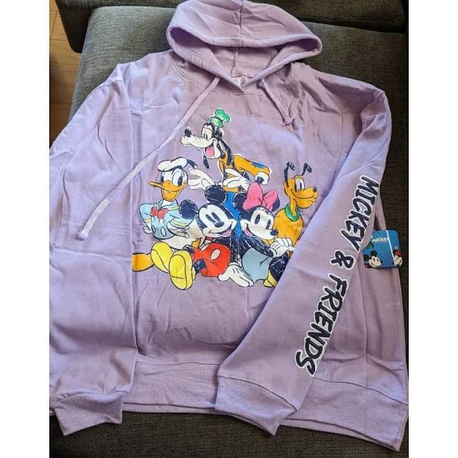 Disney Mickey and Friends Hoodie