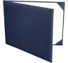 Video frame trigger