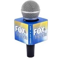 8-Sided Mic Flags