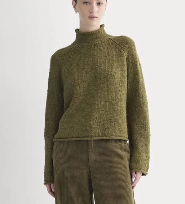Everlane Wool Rollneck Sweater