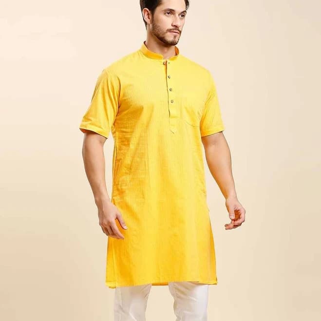 Self Striped Half Sleeve Kurta