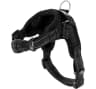 Video frame trigger
